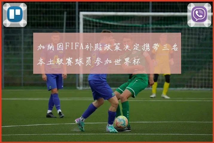 加纳因FIFA补贴政策决定携带三名本土联赛球员参加世界杯