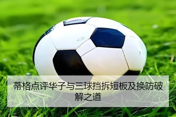 蒂格点评华子与三球挡拆短板及换防破解之道（hthsports）